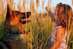 Rođen bez noge djevojke, sprijateljio se s štencima s tri šape Rođen bez noge djevojke, sprijateljio se s štencima s tri šape